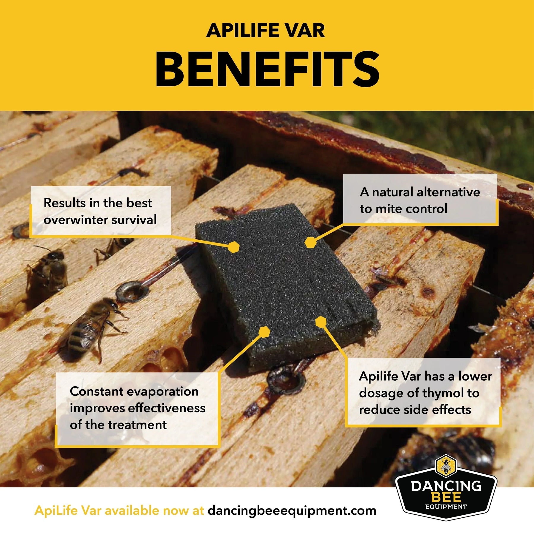 ApiLife Var - Varroa Mite Control