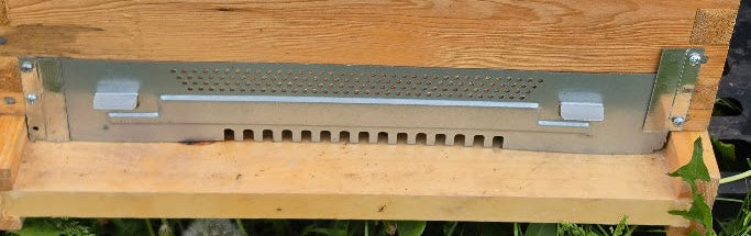 Mouse Guard | Metal | Entrance Reducer