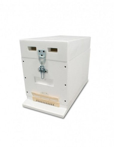 Nuc Box | 6-Frame | Polystyrene | Lyson
