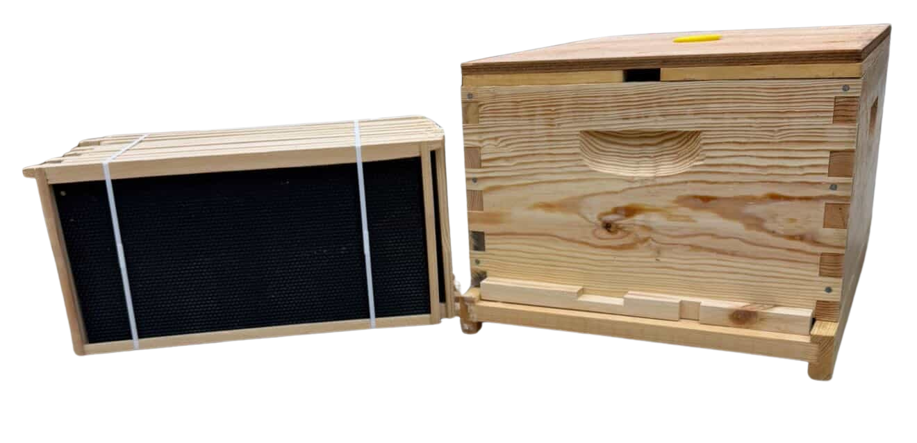 Beehive Starter Kit | Dancing Bee Equipment