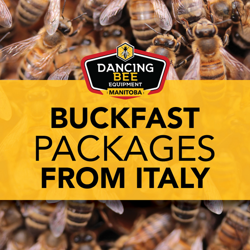 Buckfast Bee Packages from Italy
