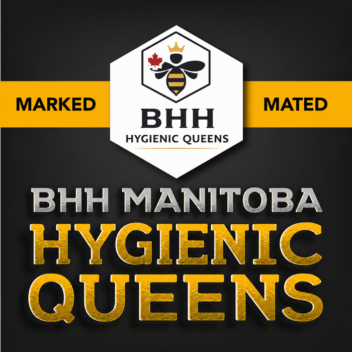 BHH Manitoba Hygienic Queens | Local Pickup | MARKED!