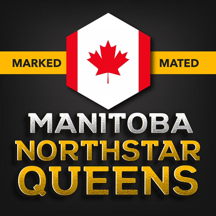 Manitoba North Star Queens | Local Pickup | MARKED!