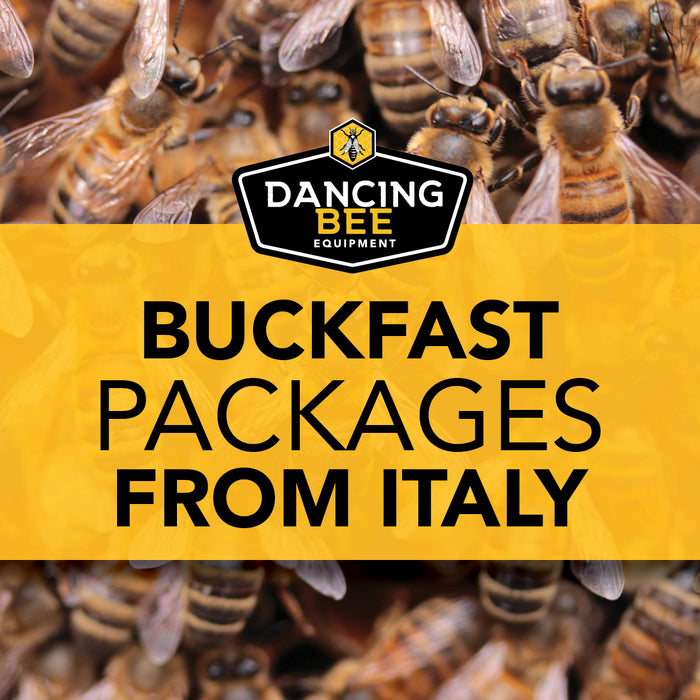 Buckfast Bee Packages | Manitoba Pickup April/May 2024