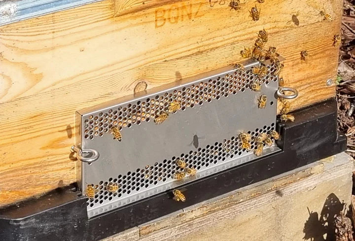 Stainless Steel Eye Screws | Beequip