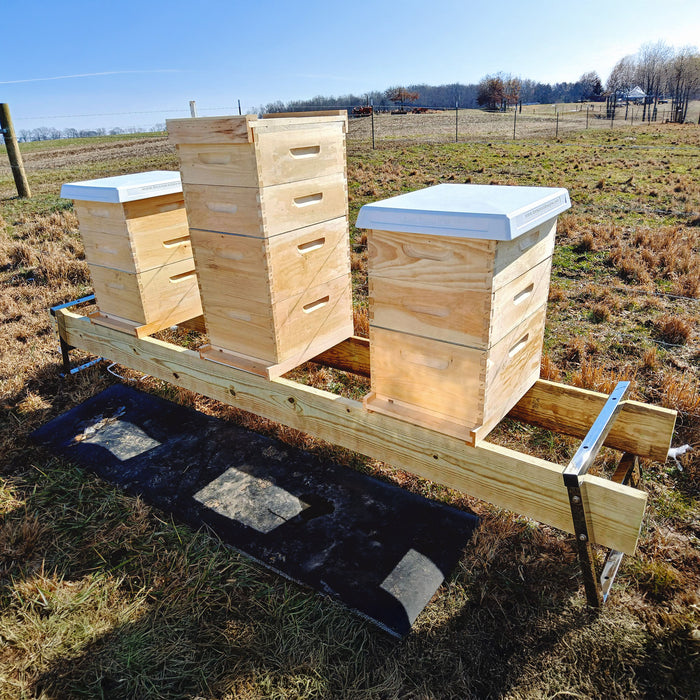 Hive Stand | EZB - SPECIAL ORDER ONLY