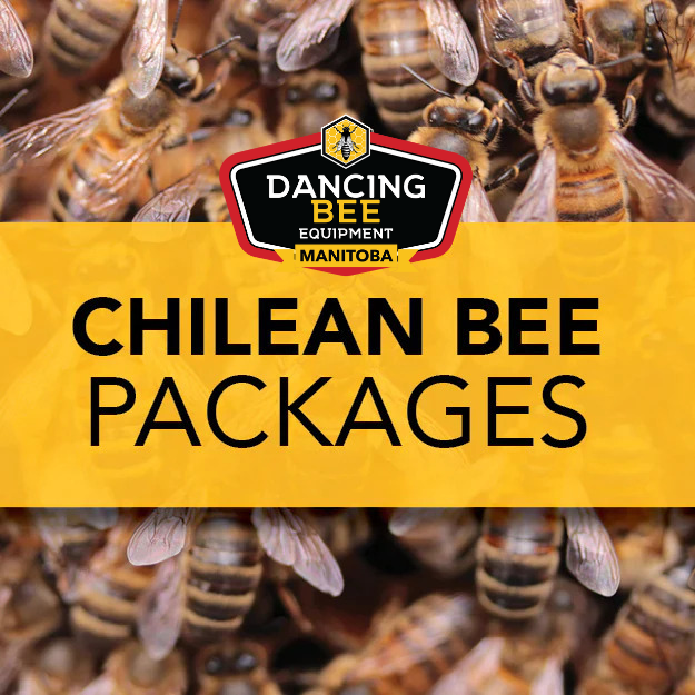Bees Shp Our Bees | Dancing Bee Equipment Manitoba