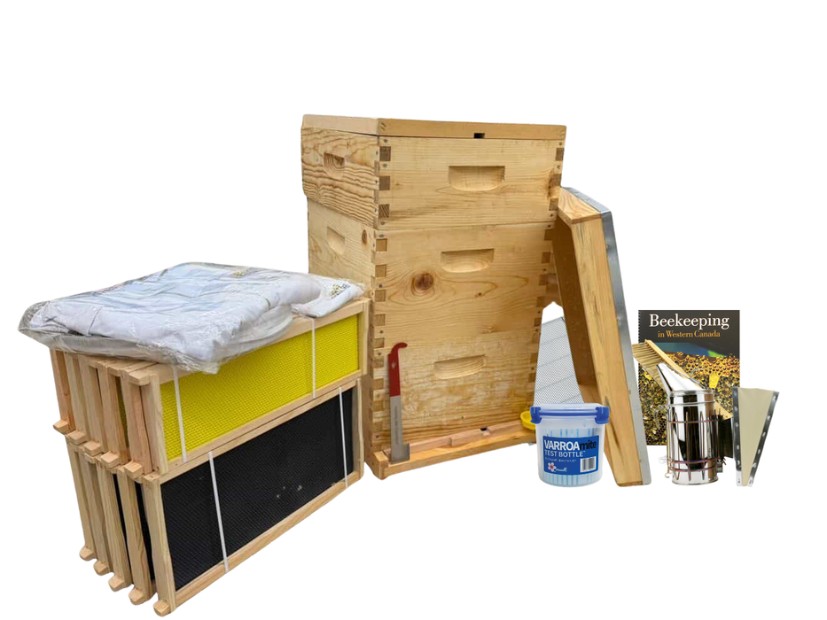 Deluxe Beekeeping Starter Kit | Dancing Bee Equipment