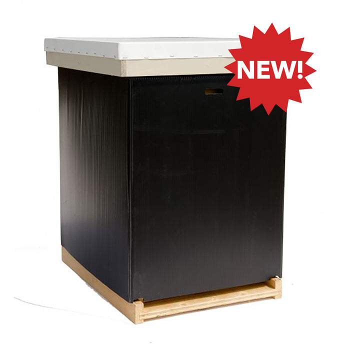 Winter Wrap | Single | Wellington County