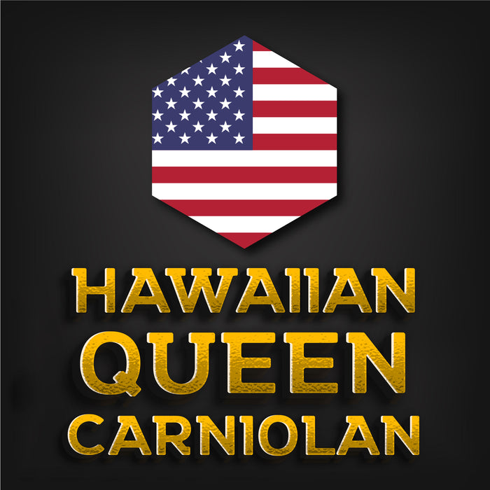 Carniolan Queen | Imported | Hawaiian | Hawaiian Queen Co.