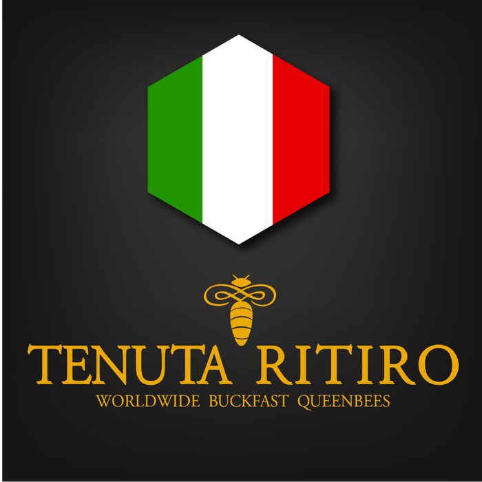 Italy Imported Buckfast Queen | Tenuta Ritiro | Marked