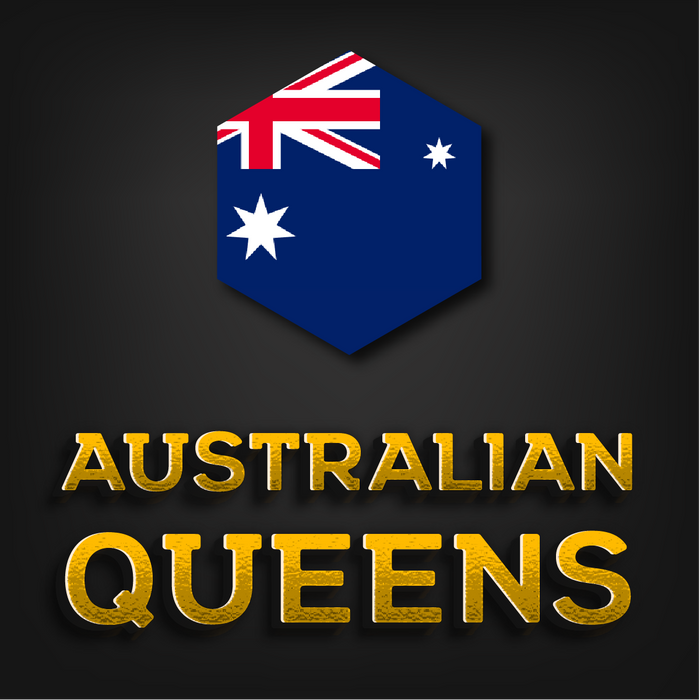 Australian Imported Carniolan Queen | Taylor