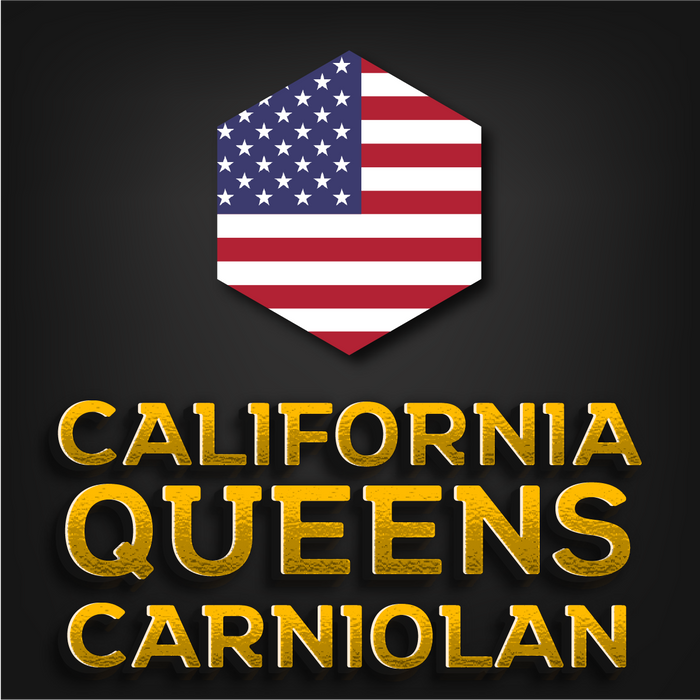 California ImportedCarniolan Queen | Olivarez